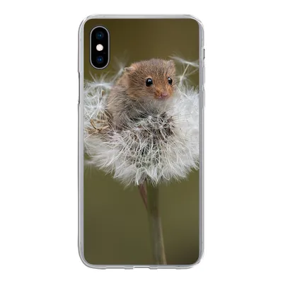 Produktbild von MuchoWow® Handyhülle Schutzhülle Hülle für iPhone Xs Maus - Jung - Blumen Silikon Softcase Handy Hülle - Handytasche