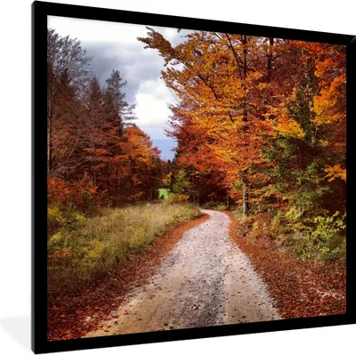 Produktbild von MuchoWow® Gerahmtes Poster Herbst - Herbstblätter - Weg - Wald 40x40 cm - Poster mit Schwarzem Bilderrahmen Wandposter Rahmen Foto Bilder - Mit Rahmen - Wanddekoration Schlafzimmer