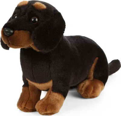Image de Living Nature Peluche Teckel 20cm - Jouets pour chiens