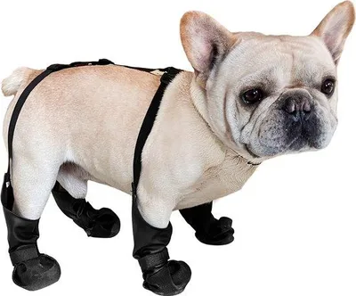 Produktbild von Wasserdichte Hunde-Schuhe für den Hundeschutz, Grip-Abnehmende Hundebeinlinge, Beinlinge für kleine und mittelgroße Hunde, robuste Außentrainerschuhe mit Sicherheitsgurten