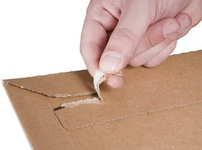 Produktbild von SENDOREPORE® - Buchverpackung | Golfkarton | 217x155x60mm | Braun | 25 Stücke