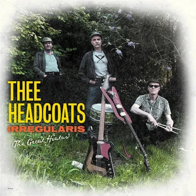 Produktbild von Irregularis (The Great Hiatus)