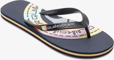 Produktbild von Quiksilver Molokai Art Flops – Schwarz – 45
