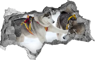 Produktbild von Selbstklebender Loch-3D-Aufkleber 95x73 cm Husky Winter