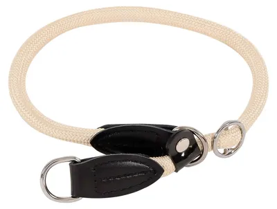 Produktbild von lionto Hundehalsband Nylon für Hundetraining, 35 cm, beige