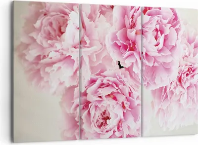 Produktbild von Bild auf Leinwand - Leinwandbild - 3 Teile - Pfingstrosen Blumenstrauß Blumen - 105x70cm - Wand Bild - Wanddeko - Wandbilder - Leinwanddruck - Bilder - Wanddekoration - Leinwand bilder - CE105x70-4961