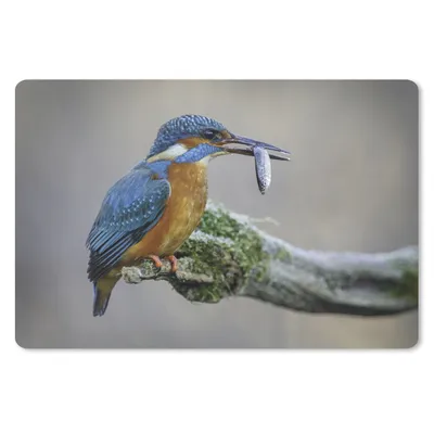 Produktbild von MuchoWow® Mauspad Mousepad Eisvogel - Fisch - Tier 27x18 cm - Mousepads - Maus Mat - Pad - Mausunterlage - Büroartikel - Desk Matten