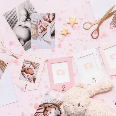Obrázek produktu pro Fotogirlanda s čápy růžová