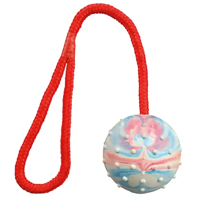 Immagine prodotto di Ball am Seil, Naturgummi ø 6/30 cm petrol/orange