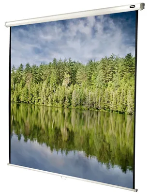 Image de Celexon Leinwand Rollo Economy 200 x 200 cm