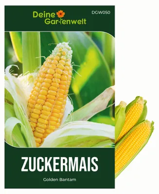 Produktbild von Zuckermais Golden Bantam Samen - Zea mays - Zuckermaissamen - Gemüsesamen - Saatgut Für 12 Pflanzen