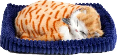 Zdjęcie produktu dla Perfect Petzzz miękki czerwony kot pręgowany 92547
