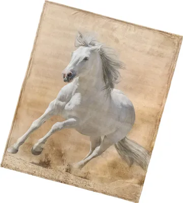 Obrázok produktu pre Mikrofleecová deka White Horse 130 x 160 cm