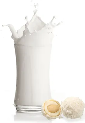 Produktbild von Kokosmilch Mandel Pralinen Milchshake Pulver 10 kg