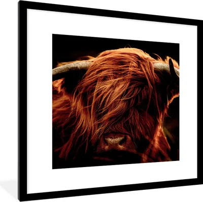 Produktbild von MuchoWow® Gerahmtes Poster Schottischer Highlander - Kuh - Hörner - Porträt - Tiere 40x40 cm - Poster mit Schwarzem Bilderrahmen Wandposter Rahmen Foto Bilder - Poster - Plakat im Rahmen