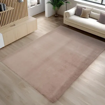 A living room scene with a rug, sofa, and furniture.