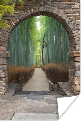 Produktbild von MuchoWow® Poster Bambus - Japanisch - Durchsichtig - Wald 80x120 cm - Papierdruck