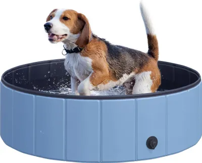 Produktbild von Hundepool - Planschbecken für Hunde - Kunststoff - Schwimm- und Badebecken für draußen - Blau