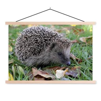 Produktbild von MuchoWow® Textilposter Igel im Gras 120x80 cm mit holzfarbenen Rahmen - Aufhängeset