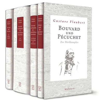 Produktbild von Bouvard und Pécuchet