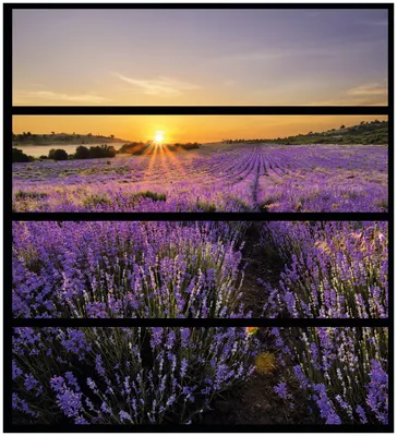 Produktbild von Wallario Möbelfolie / Aufkleber, geeignet für Ikea Malm Kommode mit 4 Schubfächern - Sonnenuntergang über dem Lavendel