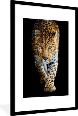 Produktbild von MuchoWow® Gerahmtes Poster Leopard - Tiere - Porträt - Wildtiere - Schwarz 60x90 cm - Poster mit Schwarzem Bilderrahmen Wandposter Rahmen Foto Bilder - Dekoration - Wandposter Wohnzimmer - Hochwertig
