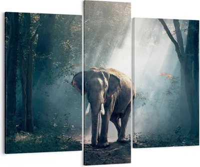 Produktbild von Bild auf Leinwand - Leinwandbild - elefant natur - 95x80cm - Wand Bild - Wanddeko - Wandbilder - Leinwanddruck - Bilder - Kunstdruck - Wanddekoration - Leinwand bilder - Wandkunst - CB95x80-3972