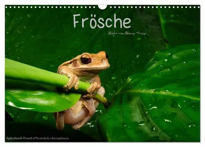 Produktbild von Frösche (Wandkalender 2027 DIN A3 quer), CALVENDO Monatskalender