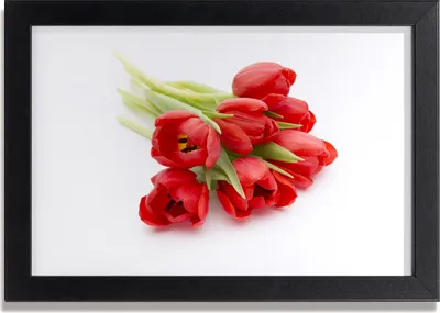 Produktbild von Bild 30x20 MDF-Rahmen, Wandkunst rote Tulpen