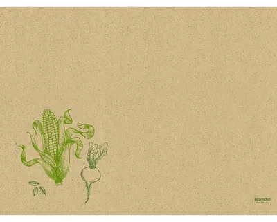 Produktbild von Graspapier Tischset 30 x 40 cm   Veggies | Packung (250 Stück)