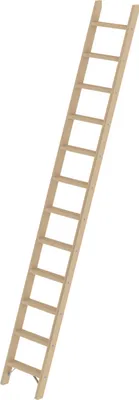 Produktbild von Stufen-Anlegeleiter Holz ohne Traverse 12 Stufen