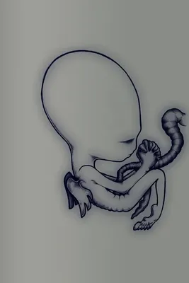 Image de Sigur Rós - Agaetis Byrjun (Un bon début) (Édition du 20e anniversaire) (Réédition) (4 CD)