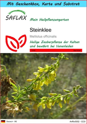 Produktbild von SAFLAX Geschenk Set - Steinklee - Melilotus officinalis - 250 Samen - Mit Geschenkbox, Versandaufkleber, Geschenkkarte und Anzuchtsubstrat