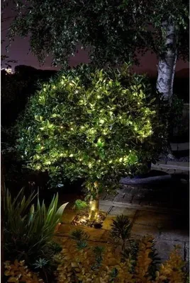 Image de Guirlande Solaire Extérieure LUCIOLE, 200 LED Blanc Chaud, 21.