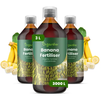 Obrázek produktu pro Banán Tekuté Hnojivo 3x1 L – 2-1-8 NPK – Pro Ovocné Rostliny – Pro Silné Banány & Zdravé Listy – Podporuje Kořeny & Vitalitu – Organifer
