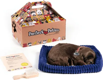 Produktbild von Perfect Petzzz Soft Chocolate Labrador