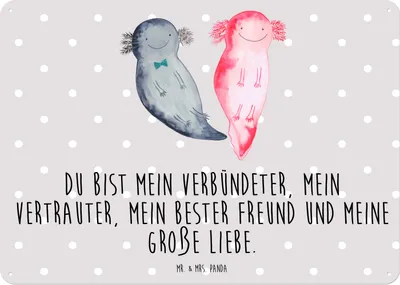 Produktbild von Mr. & Mrs. Panda Schild Axolotl Freundin DIN A5 - Grau Pastell - Geschenk, Blechschild, Valentinstag, Türschild, Wandbild, tafel, Liebe, Jahrestag, Molch, Retro