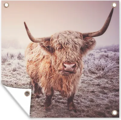 Produktbild von MuchoWow® 50x50 cm Outdoor-Poster Gartendeko Sichtschutz Garten Poster für den Garten  Schottische Highlander - Schnee - Sonne