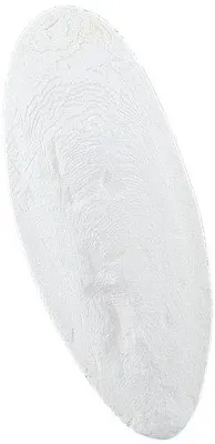 Zdjęcie produktu dla Nobby 27003, miski na sepię, 5-6 cali, opakowanie 1 kg