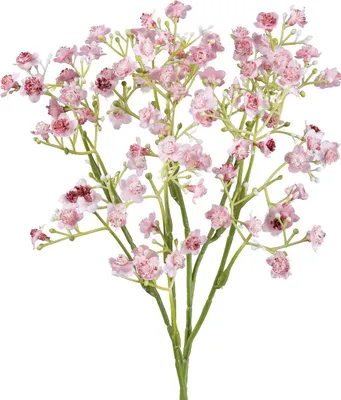 Produktbild von GASPER Schleierkraut-Gypsophila Rosa 48 cm - Kunstpflanzen