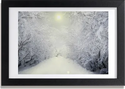 Produktbild von Bild 30x20 MDF-Rahmen, Wandkunst Schöner Winterwald