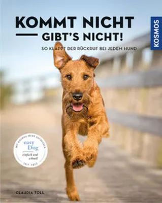 Obrázek produktu pro Toll, C: Kommt nicht, gibts nicht