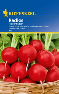 Produktbild von Kiepenkerl Radieschensamen Riesenbutter
