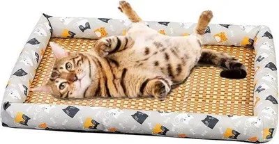 Produktbild von Hundebett, gewebtes Rattan-Textil, erfrischend, weich und bequem, kühles Schlafplatz für Hunde und Katzen (grau, mittelgroß, 50x40cm, für Gewichte bis 10kg geeignet)