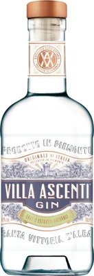 Produktbild von Villa Ascenti Gin Italienischer Gin Piemont | 41 % vol | 0,7 l