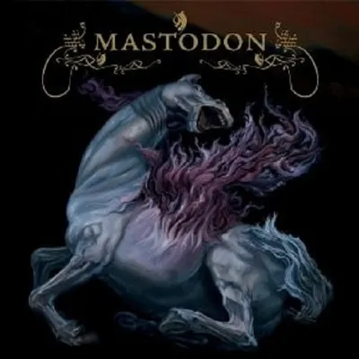 Produktbild von Mastodon-Remission