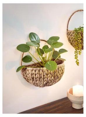Produktbild von Wandpflanzer aus Wasserhyazinthe, Natur, Wand-Pflanzkorb für den Innenbereich, Blumenkorb, Wandpflanztopf, Wandpflanzgefäß
