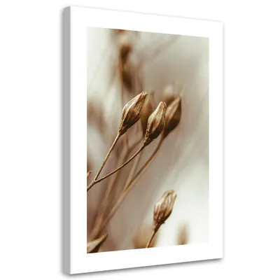 Produktbild von Leinwandbild Getrocknete Blütenblätter 40x60 Feeby Beige bild für die wand bereit zum aufhängen