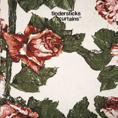 Obrázek produktu pro Tindersticks: (CD / Titel: Q-Z)