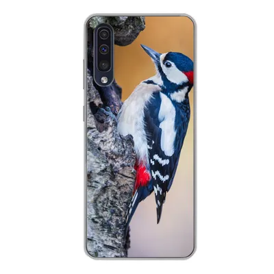 Produktbild von MuchoWow® Handyhülle Schutzhülle Hülle für Samsung Galaxy A50 Nahaufnahme eines Buntspechts auf einem Baumstamm Silikon Softcase Handy Hülle - Mobiltelefonhülle